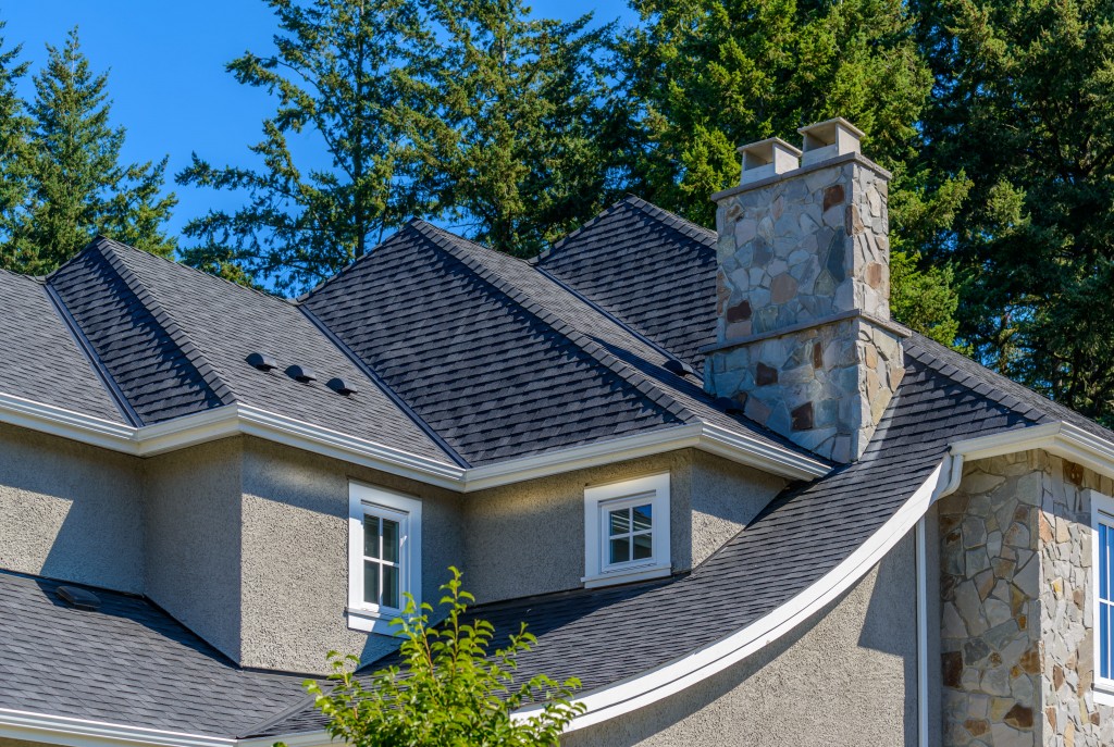 House with a dark architectural asphalt shingle roof, multiple rooflines, and a stone chimney surrounded by tall evergreen trees.
