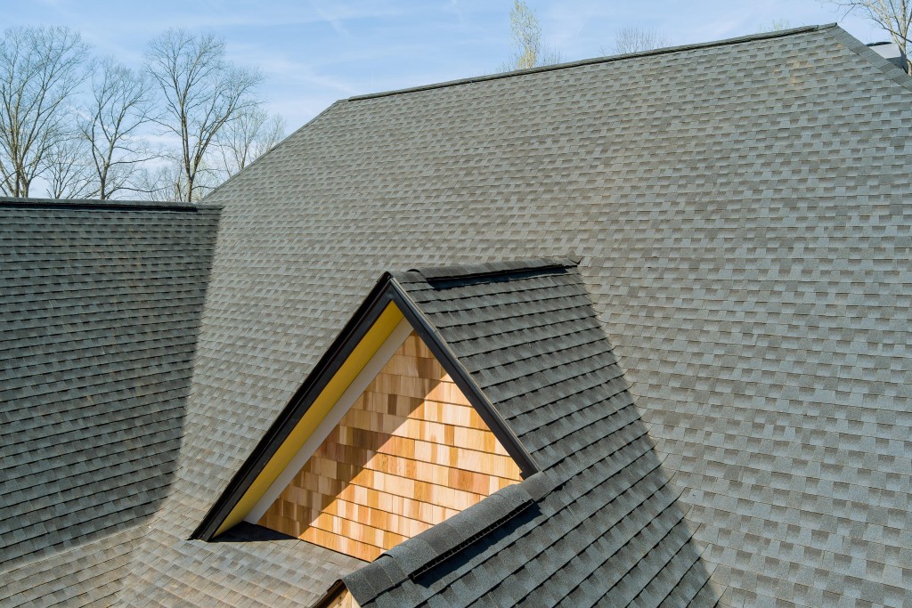 Asphalt shingle roof featuring a dormer with cedar shake siding and clean rooflines.